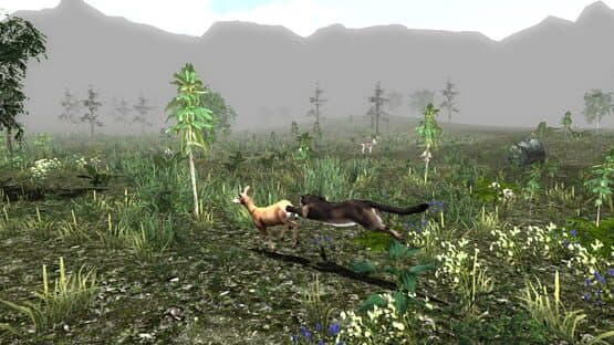 Untamed: Life of a Cougar — screenshot 4