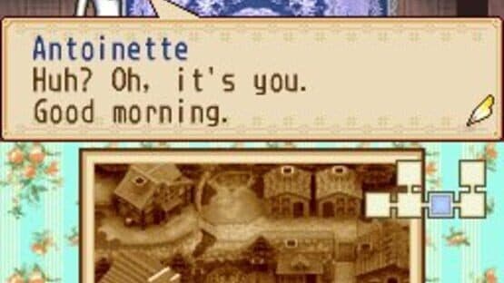 Harvest Moon DS: Grand Bazaar — screenshot 6