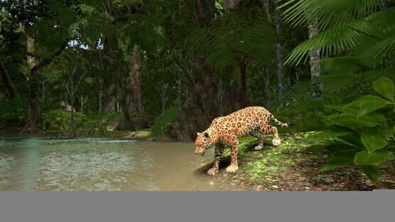 Amazon Odyssey — screenshot 1