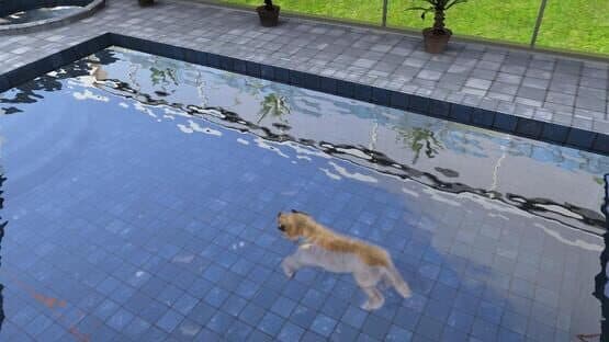 Paws & Claws: Pampered Pets — screenshot 3