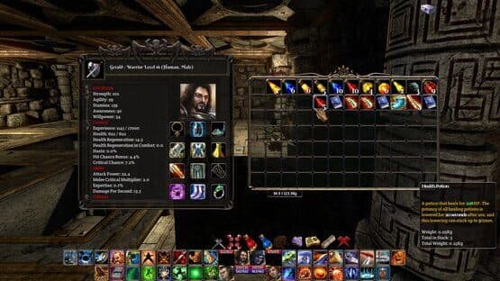 The Fall of the Dungeon Guardians — screenshot 4