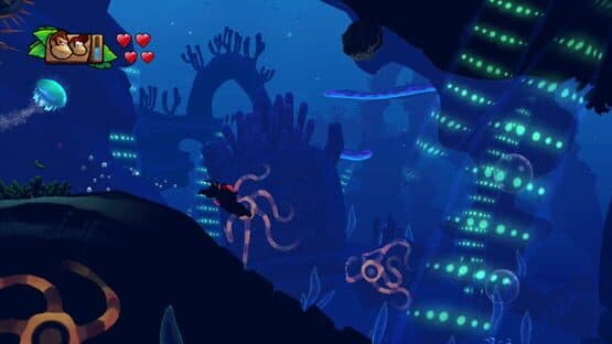 Donkey Kong Country: Tropical Freeze — screenshot 3