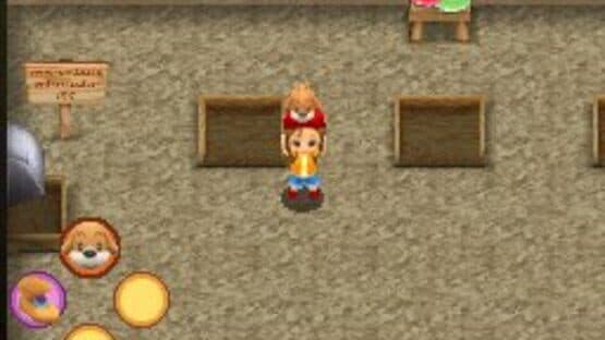 Harvest Moon DS: Sunshine Islands — screenshot 8