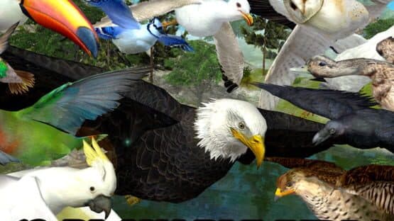 Ultimate Bird Simulator — screenshot 8