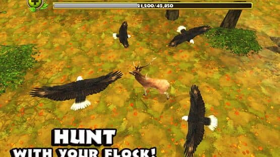 Eagle Simulator — screenshot 3