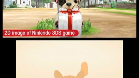 Nintendogs + Cats: French Bulldog & New Friends — screenshot 3