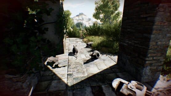 Die Young — screenshot 5