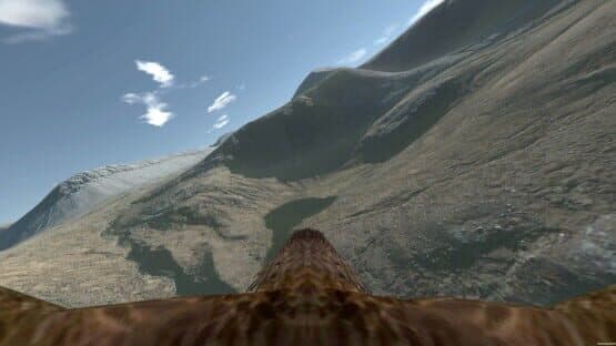 Aquila Bird Flight Simulator — screenshot 1