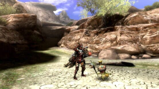 Monster Hunter Tri — screenshot 8