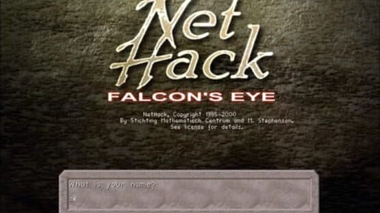 Nethack: Falcon's Eye — screenshot 3