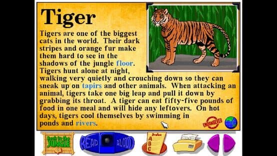 Let's Explore the Jungle — screenshot 4