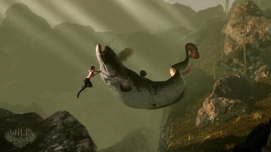 WiLD — screenshot 1