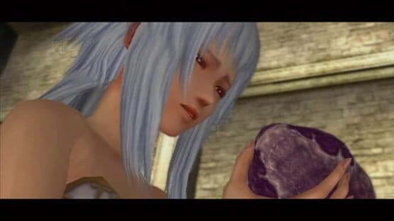 Pandora's Tower — screenshot 7