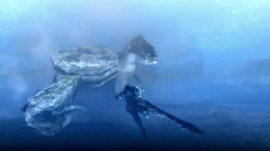 Monster Hunter Tri — screenshot 4