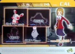 Pokémon Colosseum Double Battle Card e+: 13-A014 - Ojou-sama no Cal
